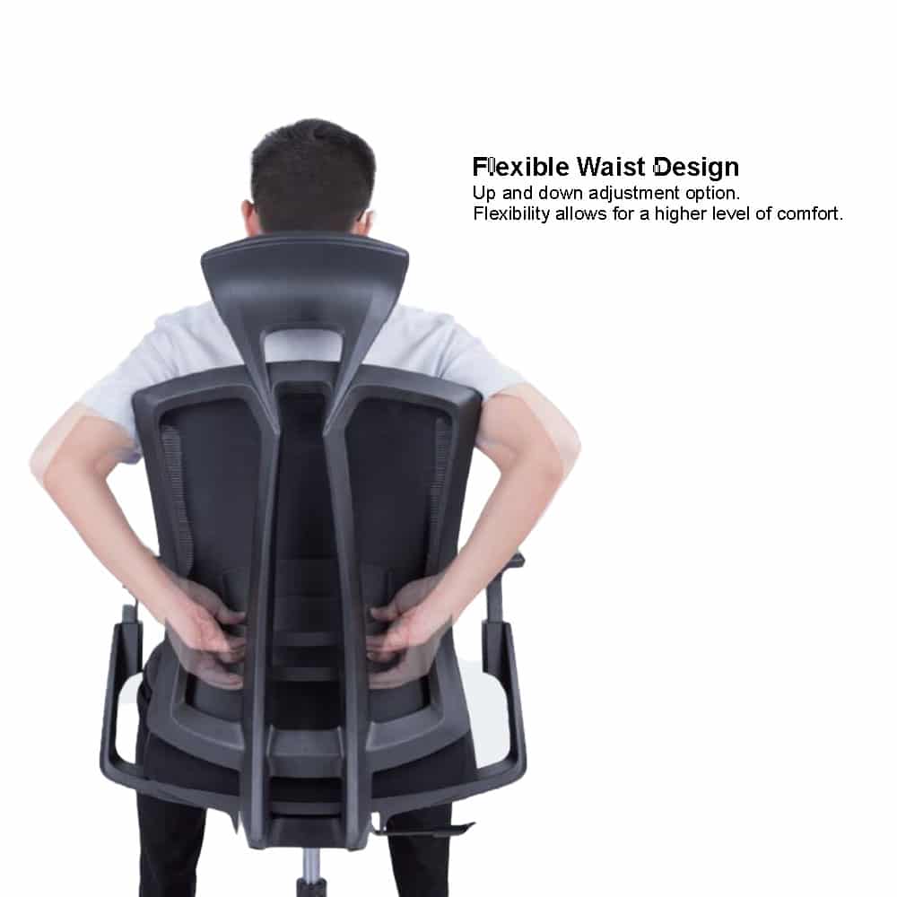 Ergo_Lifestyle_2