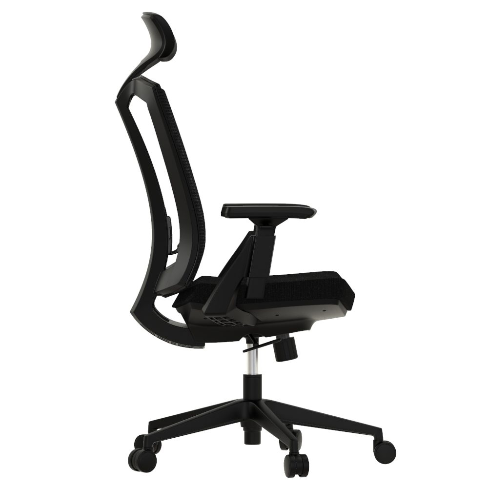 Ergo Plus