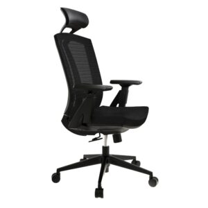 The Ergo Plus