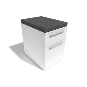 Mobile Box/File With Seat Cushion