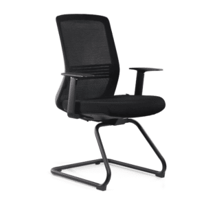 Ergo Sled Base Side Chair