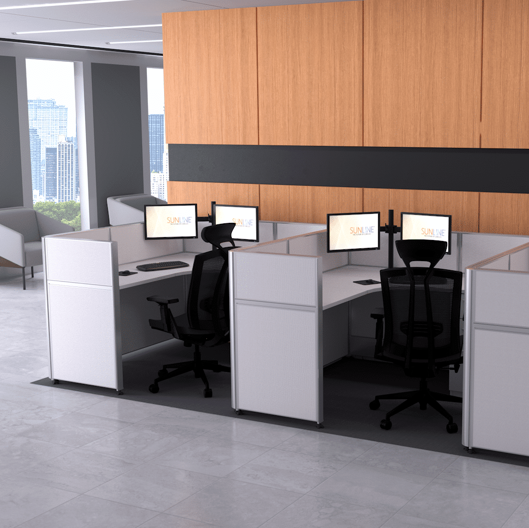 Dual_Monitor_Environment_2