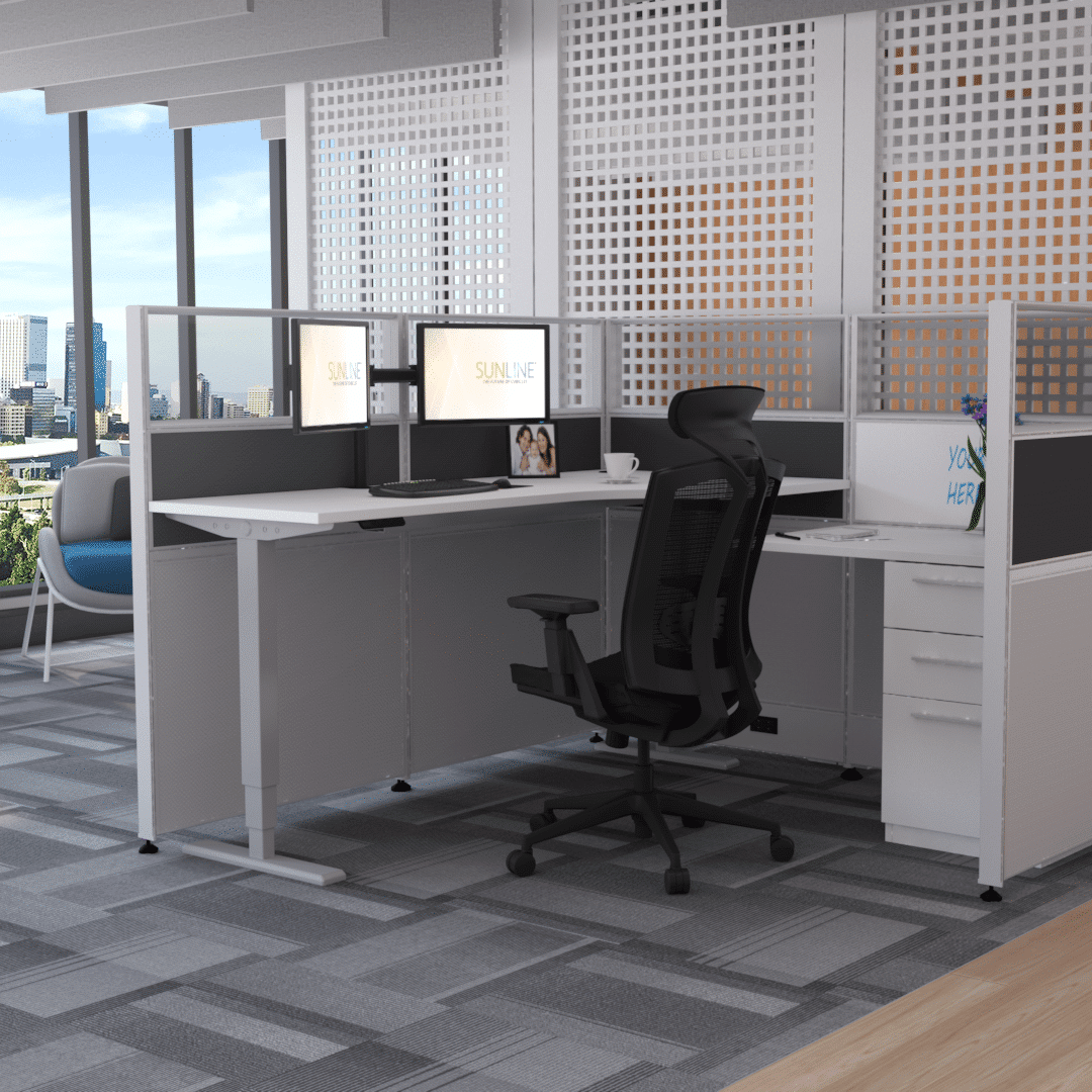 Dual_Monitor_Environment_3