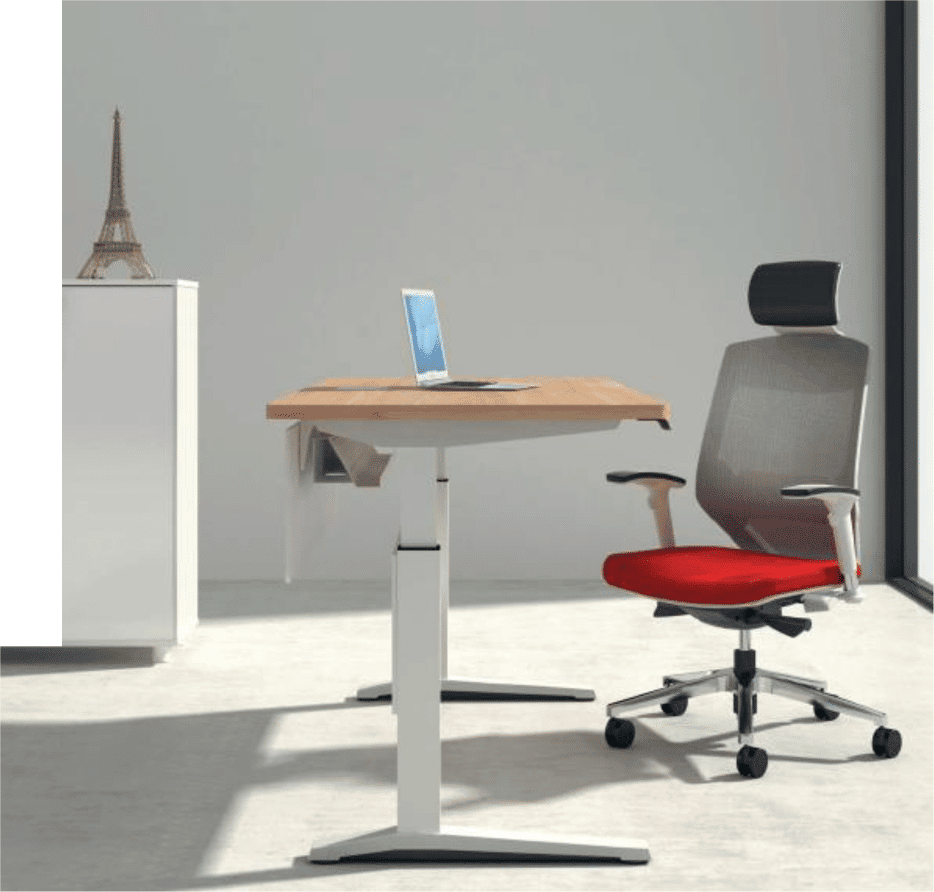 Single Stand Up Desk