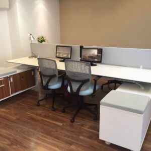 Savannah Dual WorkStation straighter