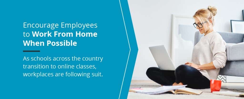 Complete Guide to Office Plants and Incorporating Nature Into Your Office Design