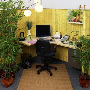 10 Most Tricked Out Office Cubicles