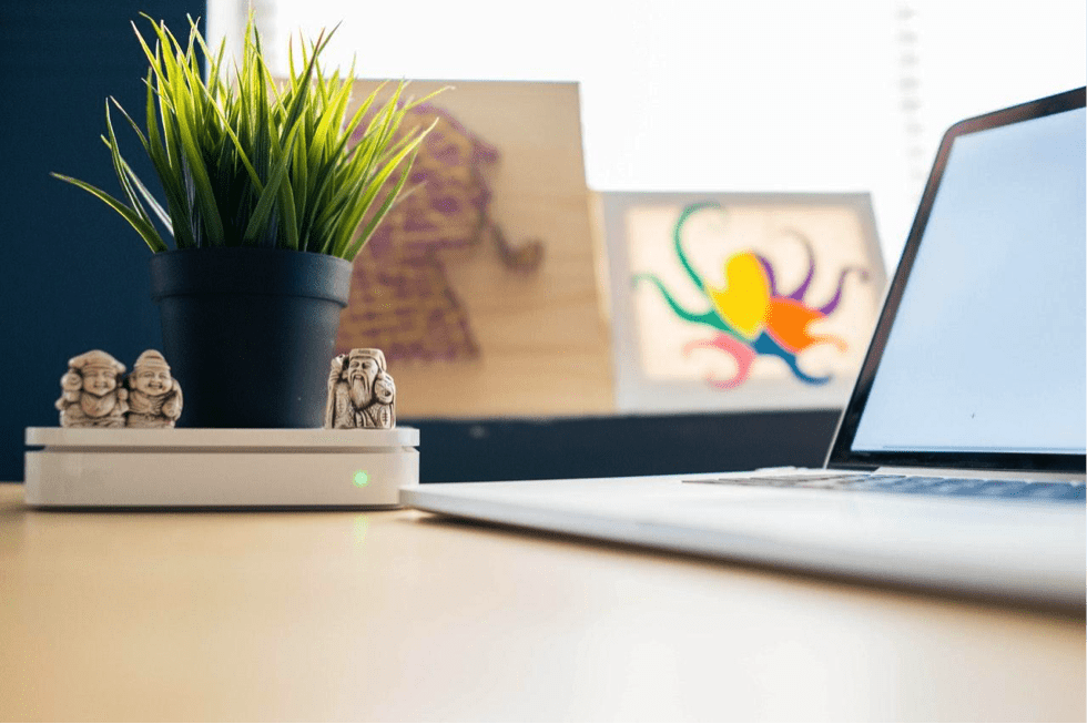 Plants for your office
