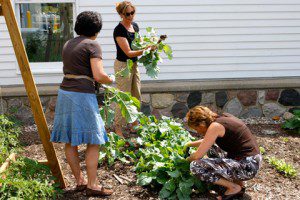 betterworld_dy-garden1_july_davis