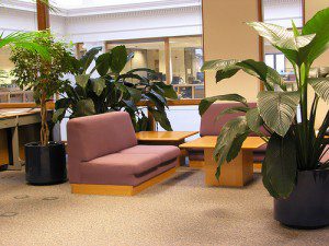 officeplant