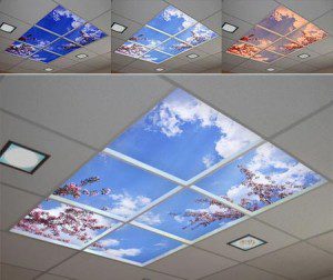 skylights