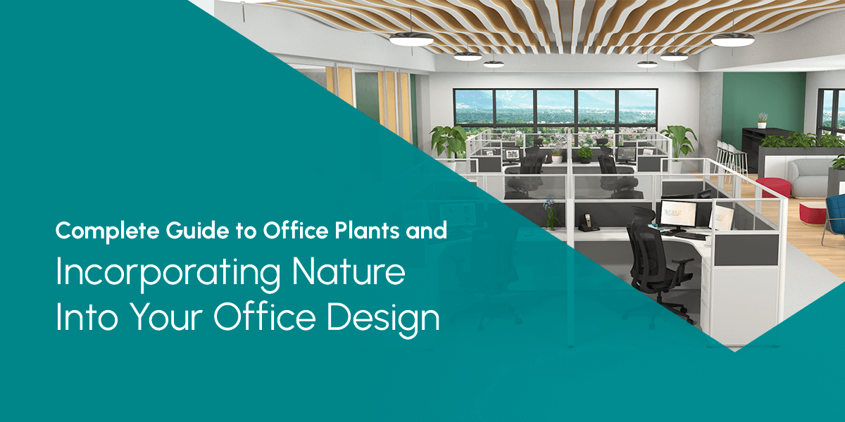 Complete Guide to Office Plants and Incorporating Nature Into Your Office Design