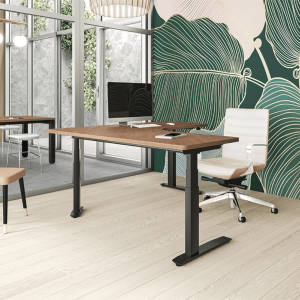 S Collection SitStand Desk Arnold's Office Furniture