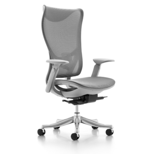 Spectra Nexa Ergonomic Office Chair