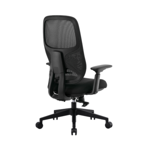Spectra Aero Ergonomic Office Chair