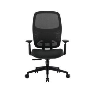 Spectra Aero Ergonomic Office Chair