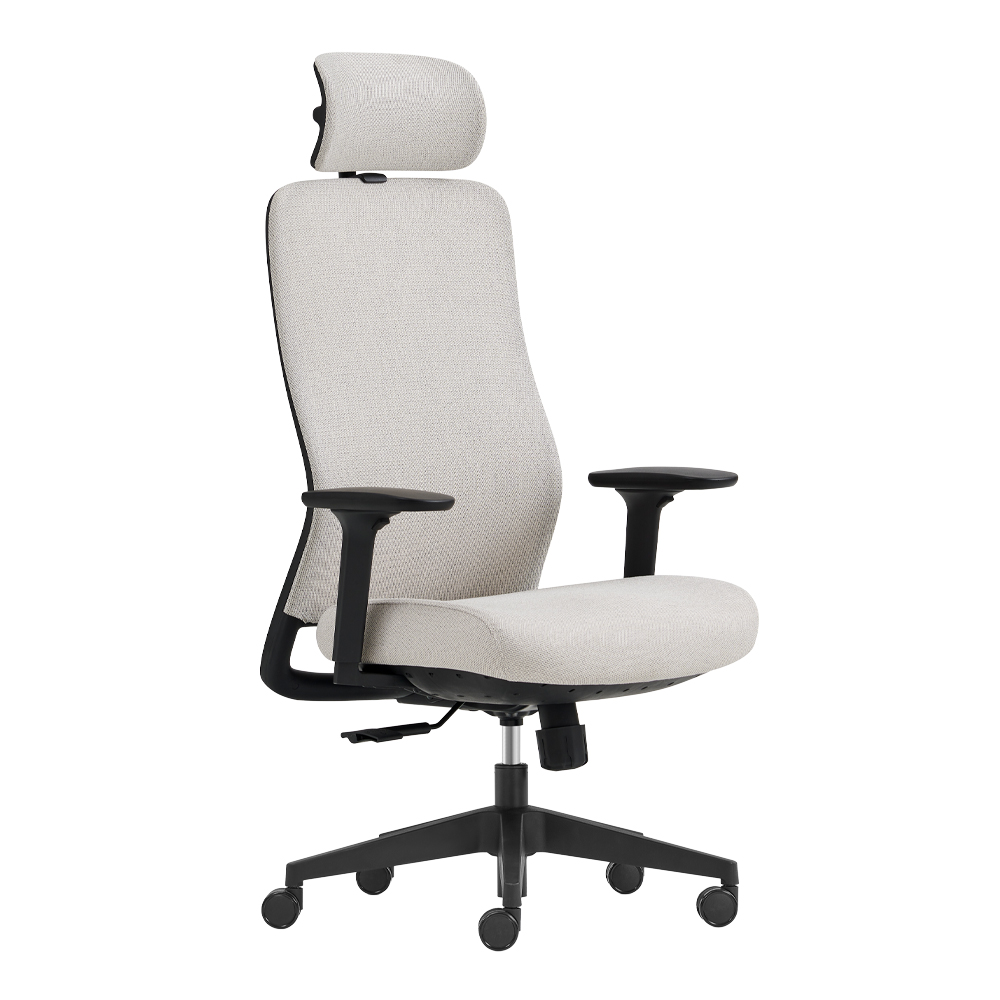 Spectra Align Ergonomic Office Chair - Image 8