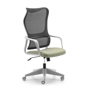 Spectra Groove Ergonomic Office Chair