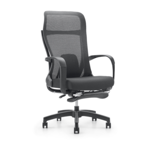 Spectra Ignis Ergonomic Office Chair