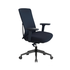 Spectra Lux Ergonomic Office Chair