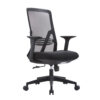 Spectra Lux Ergonomic Office Chair - Thumbnail Image 7