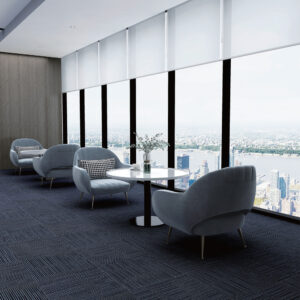 Sunline Strut Carpet 20 Series